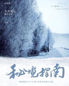 双重间谍